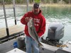 (04/27/2015) - Nice Striped Bass